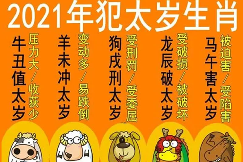 2021年犯太岁的你，不请个太岁符吗?杨博士为你亲绘