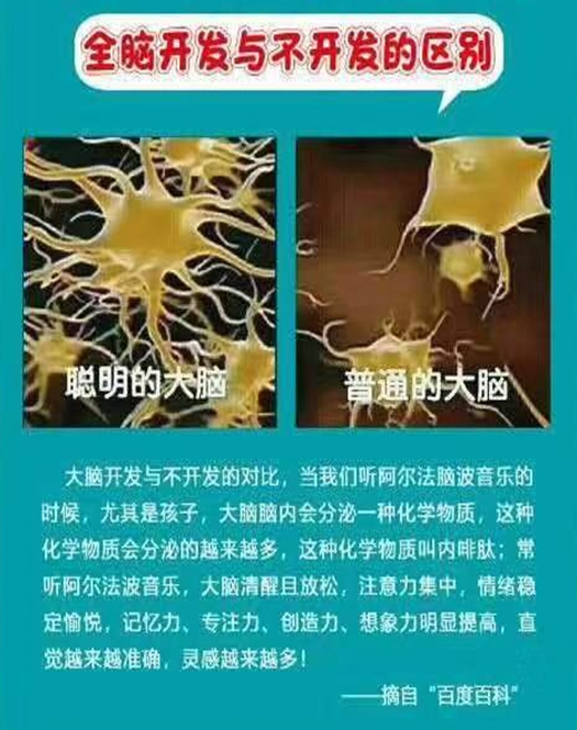 全脑开发的关键在音频刺激