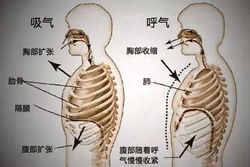 道家的呼吸养生法，学会一种就足以改善健康